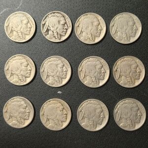 Twelve 1935 Buffalo Nickels - Set of 12 - Full Dates